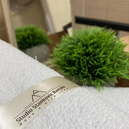 Stankovic Royal Towers 326